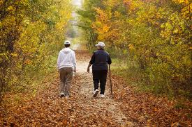 Guide-of-tips-wellness-walking-in-nature-is-good-for-health-image-1