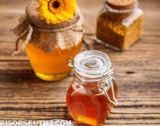 Tips for wellness with propolis a natural antibiotic bees picture 7