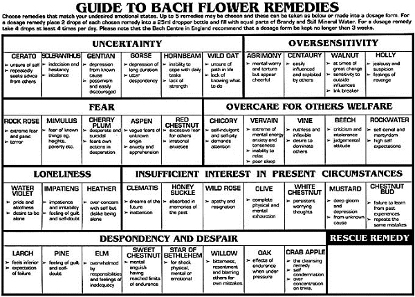 Bach Flower Remedies Chart