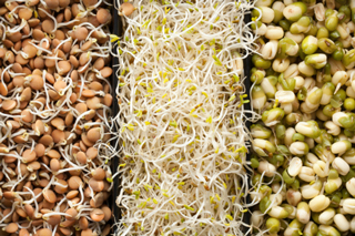Sprouts do it yourself natural vitamins for wellness recipes