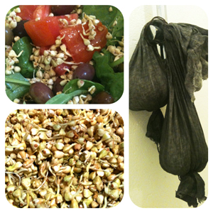 Sprouts-do-it-yourself-natural-vitamins-for-wellness-foods-recipes-3