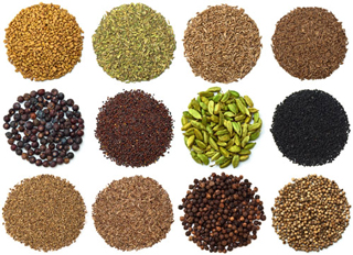 Sprouts-do-it-yourself-natural-vitamins-for-wellness-foods-recipes-4