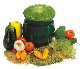 Sprouts-do-it-yourself-natural-vitamins-for-wellness-foods-recipes-6