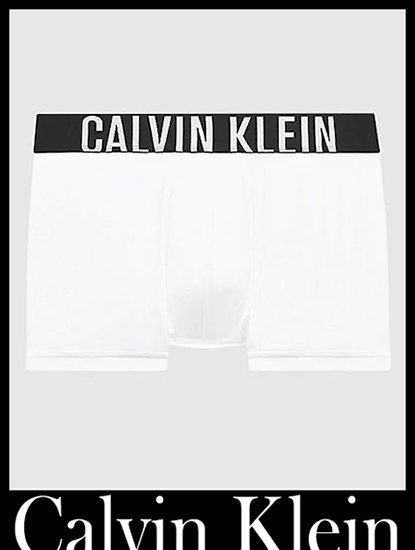 New arrivals Calvin Klein underwear 21 mens briefs boxers 4