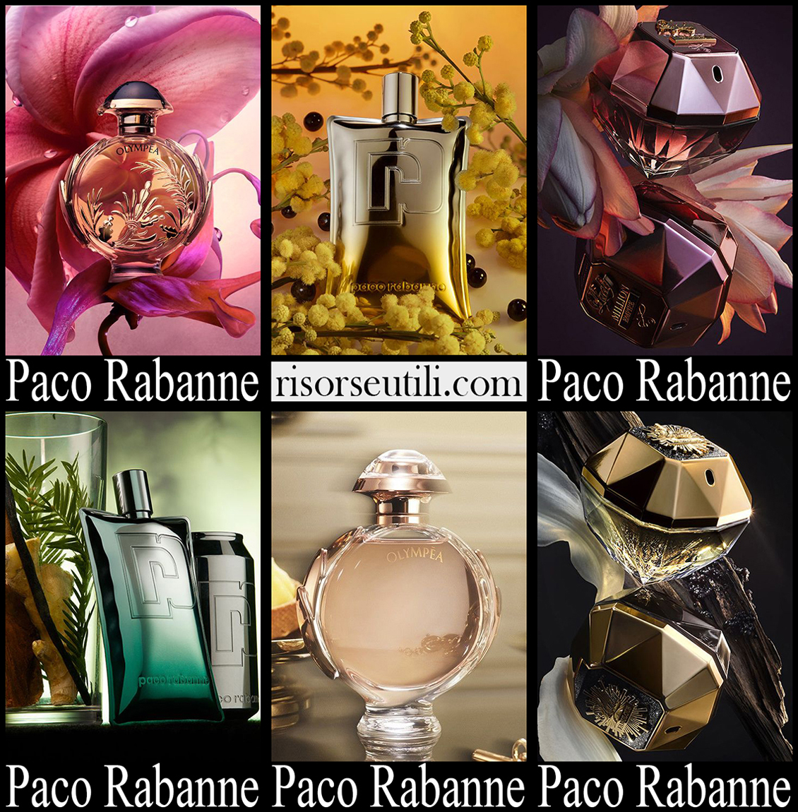 New arrivals Paco Rabanne perfumes 2023 womens accessories